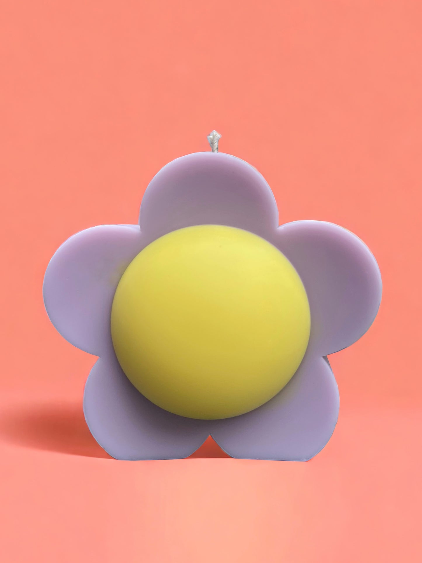 CHUBBY DAISY SOY CANDLE